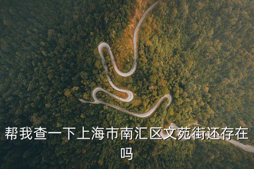 幫我查一下上海市南匯區文苑街還存在嗎