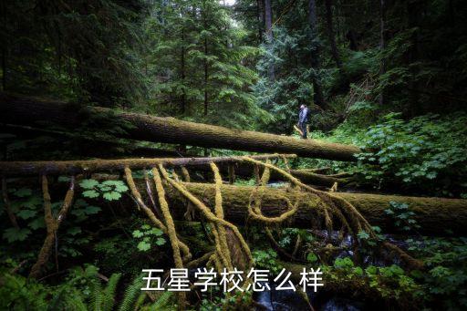 廣州新蕾五星學校招聘，誰有廣州市天河區新蕾五星學校的信息嗎