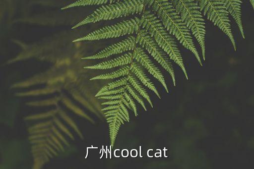廣州cool cat