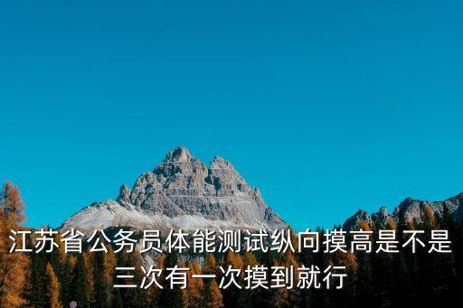 江蘇省公務員體能測試縱向摸高是不是三次有一次摸到就行