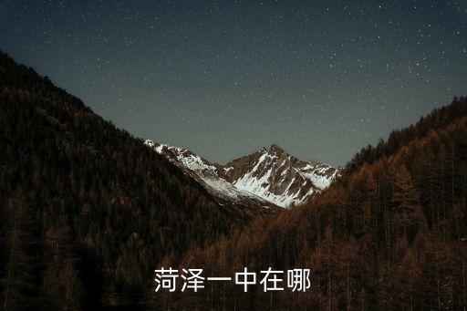菏澤一中在哪