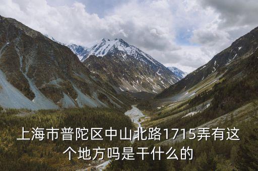 上海市普陀區中山北路1715弄有這個地方嗎是干什么的