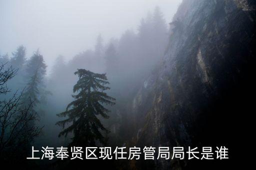 上海奉賢區(qū)現(xiàn)任房管局局長是誰