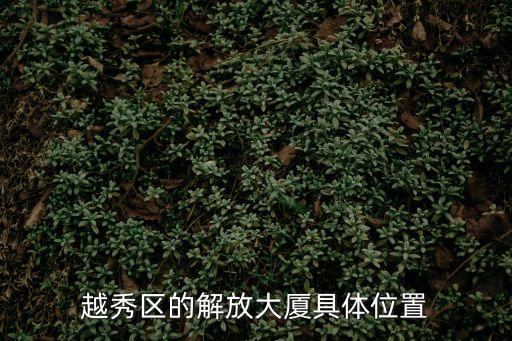 越秀區的解放大廈具體位置