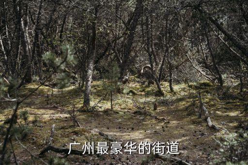 廣州最豪華的街道