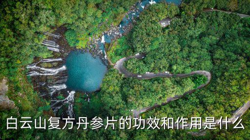 復方丹參片廣州粵華，白云山復方丹參片