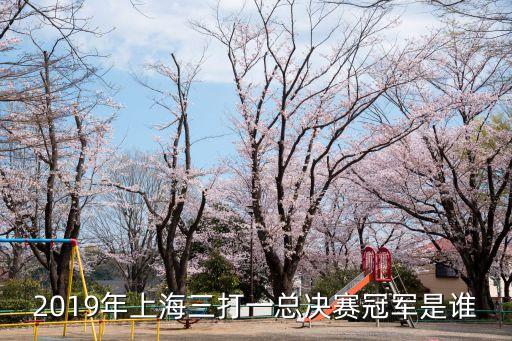 2019年上海三打一總決賽冠軍是誰