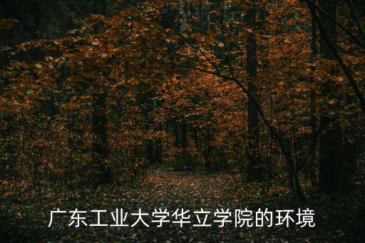 廣東工業大學華立學院的環境