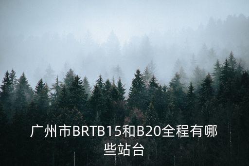 廣州市BRTB15和B20全程有哪些站臺