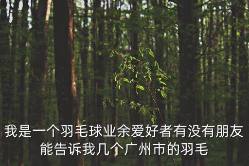 我是一個羽毛球業余愛好者有沒有朋友能告訴我幾個廣州市的羽毛