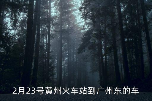 2月23號黃州火車站到廣州東的車