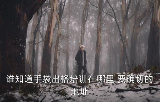 誰知道手袋出格培訓(xùn)在哪里 要確切的地址