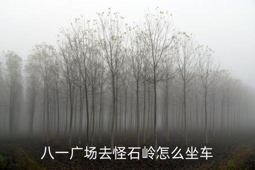 八一廣場去怪石嶺怎么坐車