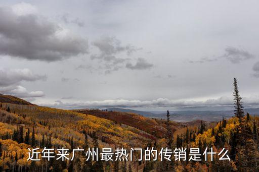 廣州比客貿易是傳銷，廣州比利迦貿易有限公司怎么樣是不是類似傳銷騙人的求知情的
