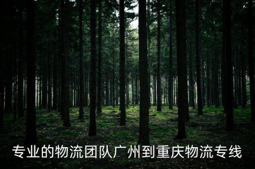 專業(yè)的物流團隊廣州到重慶物流專線