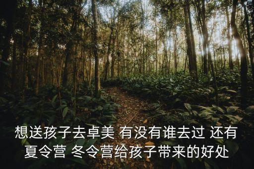 廣州卓美設計暑期班，在廣州地區有誰知道哪里的培訓機構環境各方面都比較好點的想在