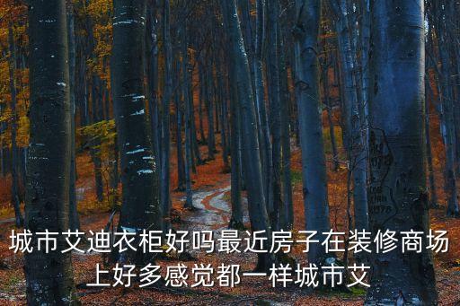 城市艾迪衣柜好嗎最近房子在裝修商場上好多感覺都一樣城市艾