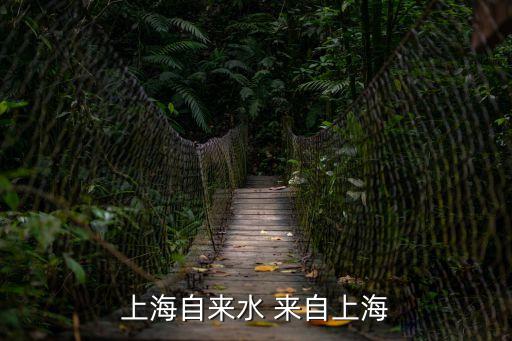 上海自來水 來自上海