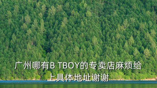 廣州哪有B TBOY的專賣店麻煩給上具體地址謝謝