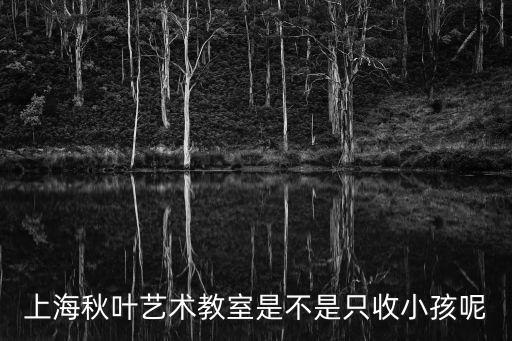 上海秋葉藝術教室是不是只收小孩呢