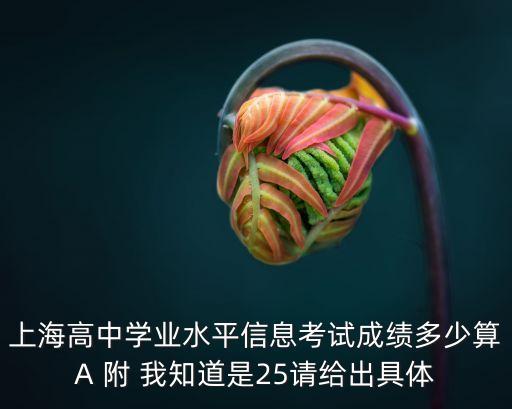 上海市水平考試等級折合分數，上海高中學業水平信息考試成績多少算A 附 我知道是25請給出具體