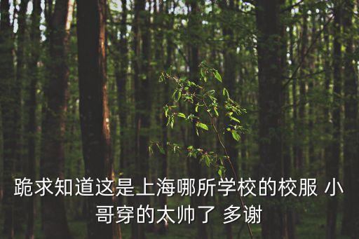 跪求知道這是上海哪所學校的校服 小哥穿的太帥了 多謝