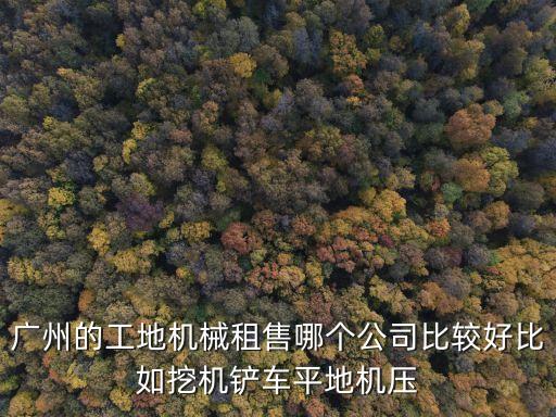 廣州的工地機械租售哪個公司比較好比如挖機鏟車平地機壓