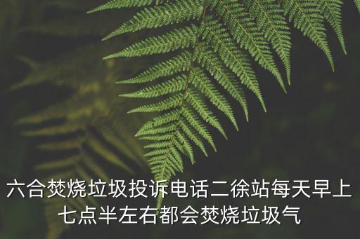 上海市焚燒垃圾舉報，六合焚燒垃圾投訴電話二徐站每天早上七點半左右都會焚燒垃圾氣