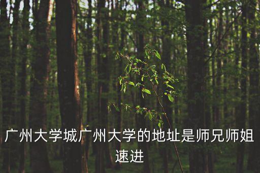 廣州大學城廣州大學的地址是師兄師姐速進
