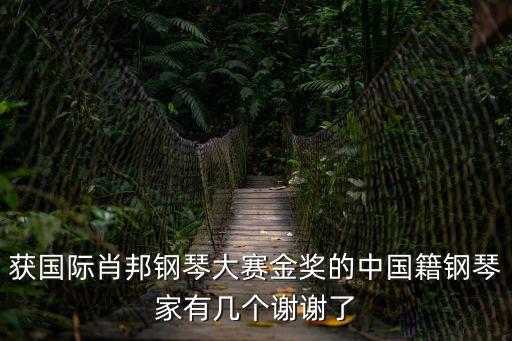 獲國際肖邦鋼琴大賽金獎的中國籍鋼琴家有幾個謝謝了