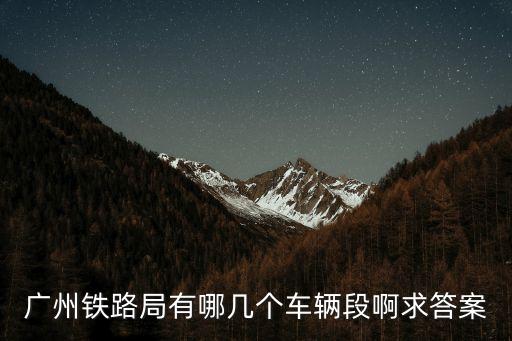 廣州動車段有那些，有道廣州的動車組嗎
