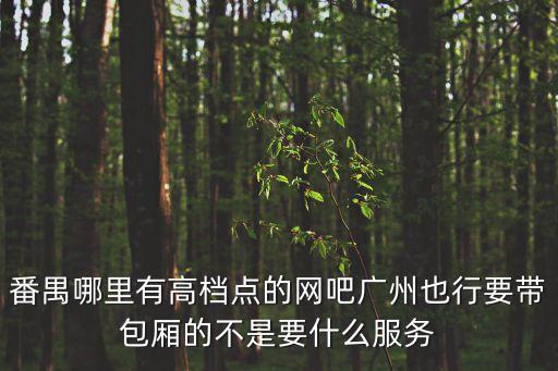 廣州番禺大石星興網吧，番禺哪里有高檔點的網吧廣州也行要帶包廂的不是要什么服務