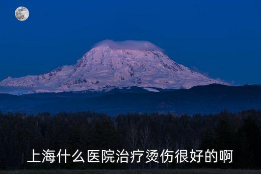 上海什么醫院治療燙傷很好的啊