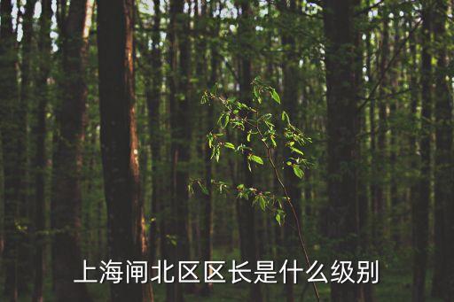 上海閘北區區長是什么級別