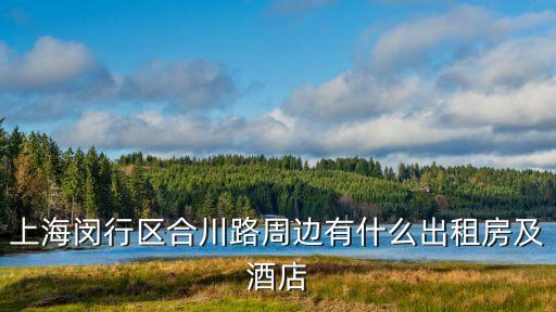 上海市閔行區萬源新城租房，58同城 上海閔行區有沒有大一點的房子可以租
