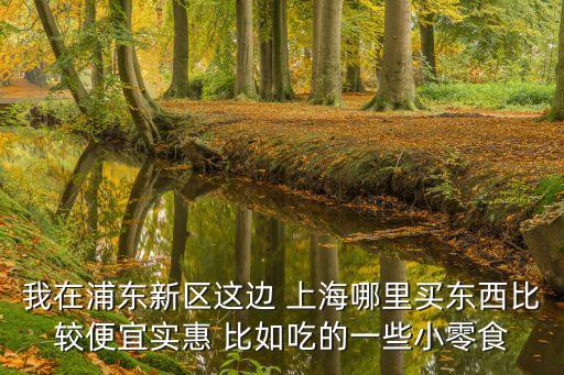 我在浦東新區這邊 上海哪里買東西比較便宜實惠 比如吃的一些小零食
