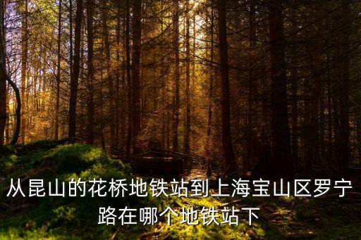 從花橋去上海市寶山區，從昆山花橋到上海寶山怎么走大概要多久能到車費多少錢