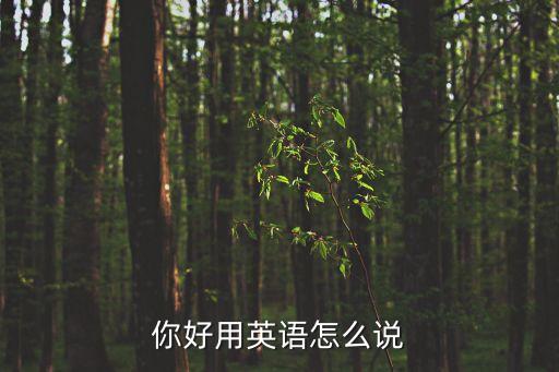 你好用英語怎么說