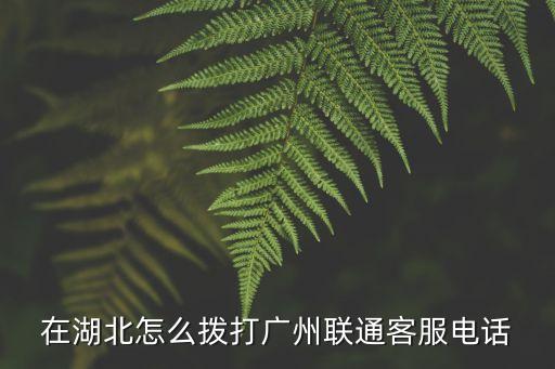 在湖北怎么撥打廣州聯(lián)通客服電話