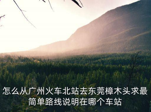 怎么從廣州火車北站去東莞樟木頭求最簡單路線說明在哪個車站