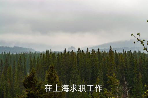 在上海求職工作
