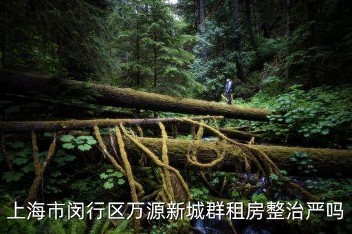上海市閔行區(qū)萬源新城群租房整治嚴(yán)嗎
