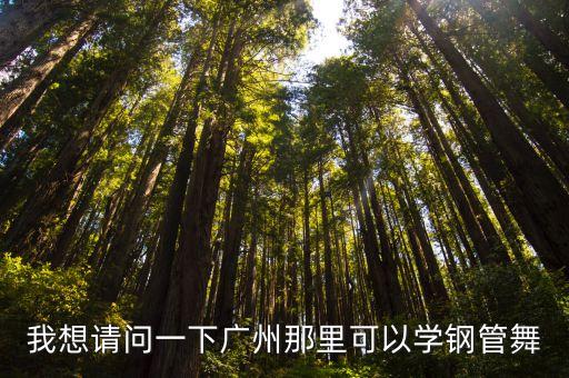 廣州海珠區(qū)鋼管舞，廣州業(yè)余鋼管舞