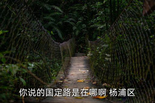你說的國定路是在哪啊 楊浦區(qū)