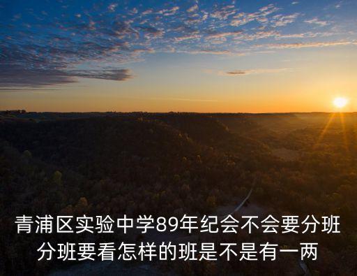 青浦區實驗中學89年紀會不會要分班分班要看怎樣的班是不是有一兩