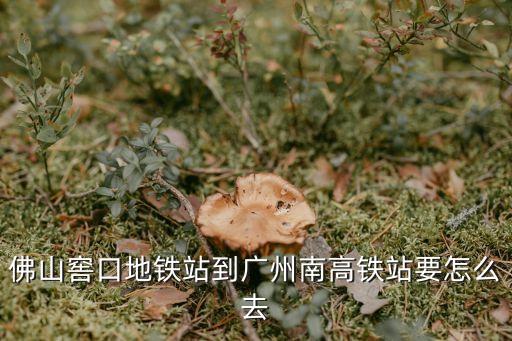 佛山窖口地鐵站到廣州南高鐵站要怎么去