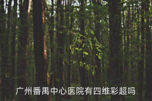 廣州那些醫(yī)院有四維，廣州哪里有四維彩超