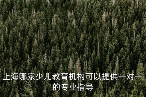 上海哪家少兒教育機構可以提供一對一的專業指導