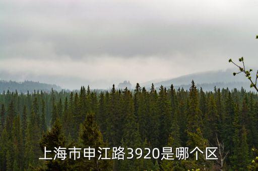 上海市申江路3920是哪個區