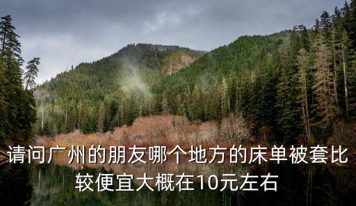 請問廣州的朋友哪個地方的床單被套比較便宜大概在10元左右